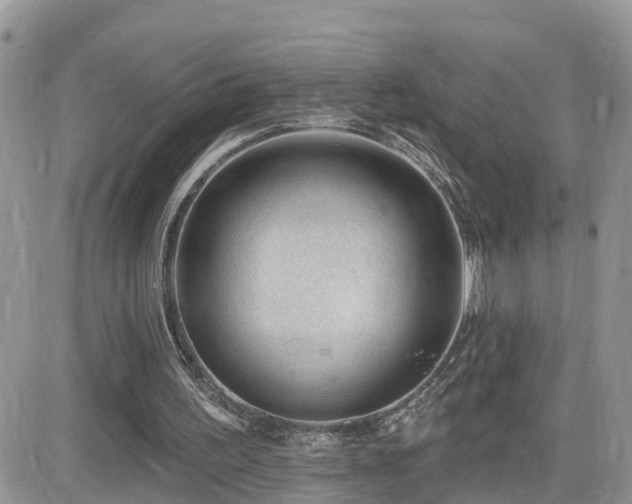 X0000082760195200701261456