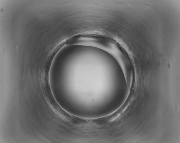 X0000082760201200701261456