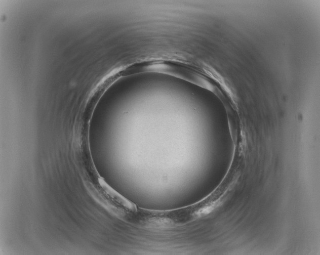 X0000082760203200701261456