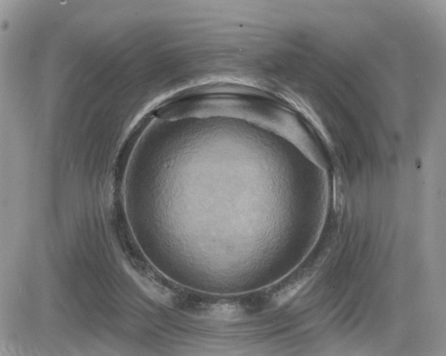 X0000082760204200701261456