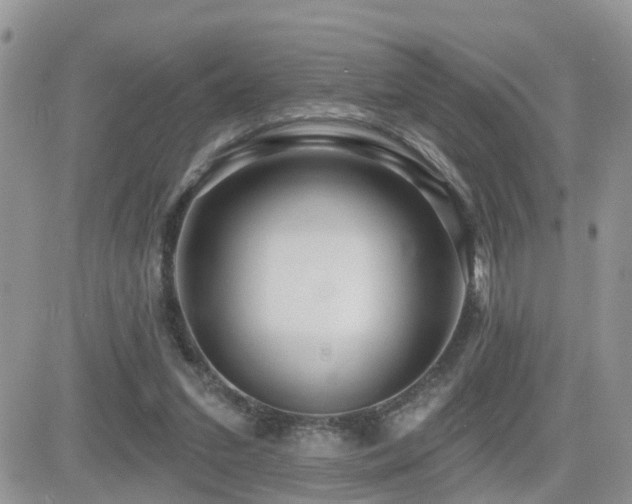 X0000082760207200701261455