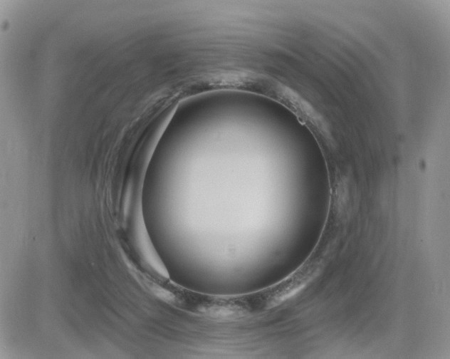 X0000082760209200701261455