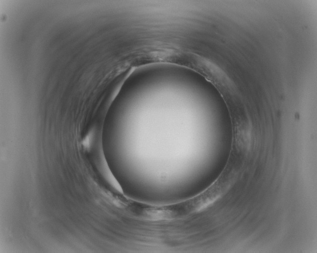 X0000082760221200701261455