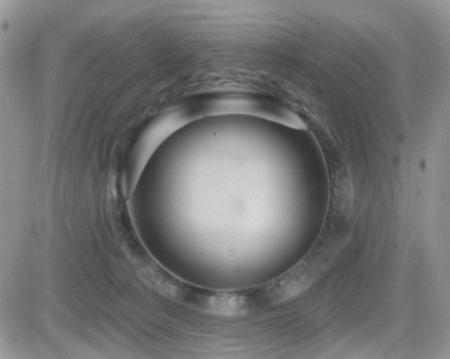 X0000082760225200701261455