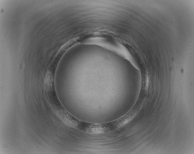 X0000082760228200701261455
