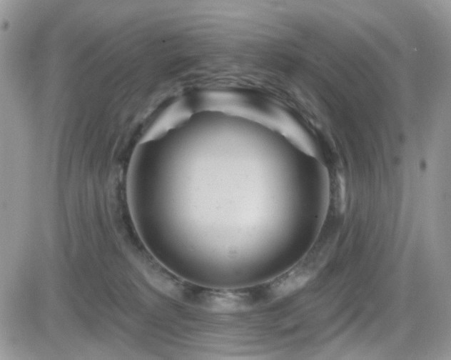 X0000082760229200701261455