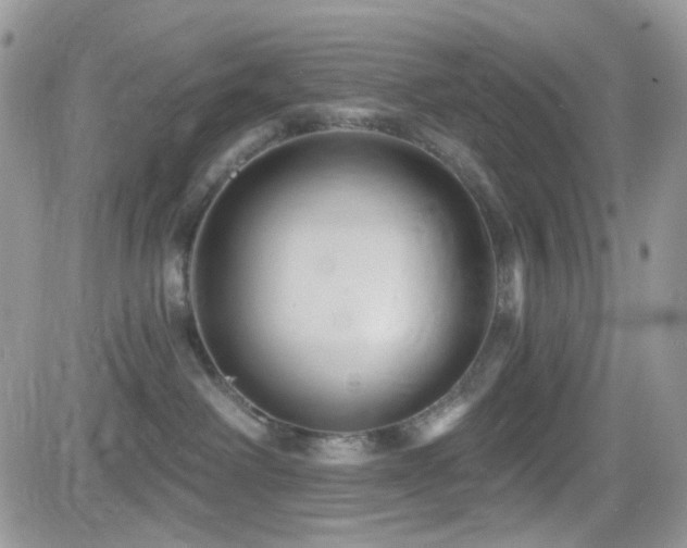 X0000082760238200701261455