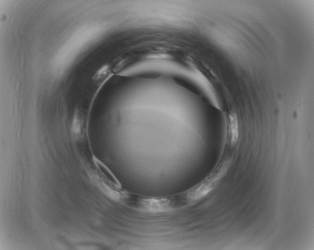 X0000082760239200701261455