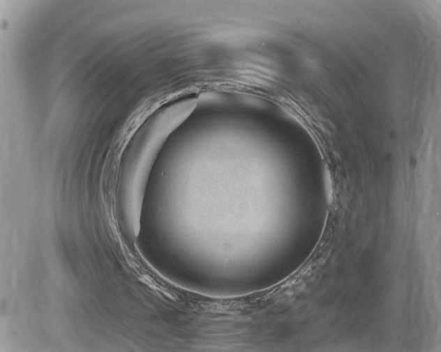 X0000082760241200701261454