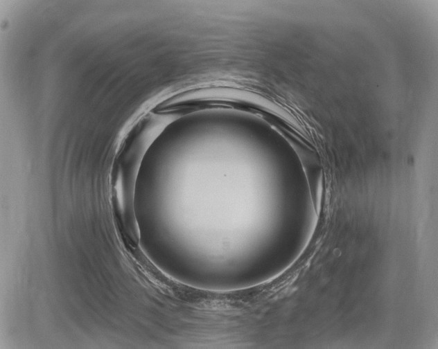 X0000082760244200701261454