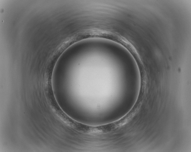 X0000082760257200701261454