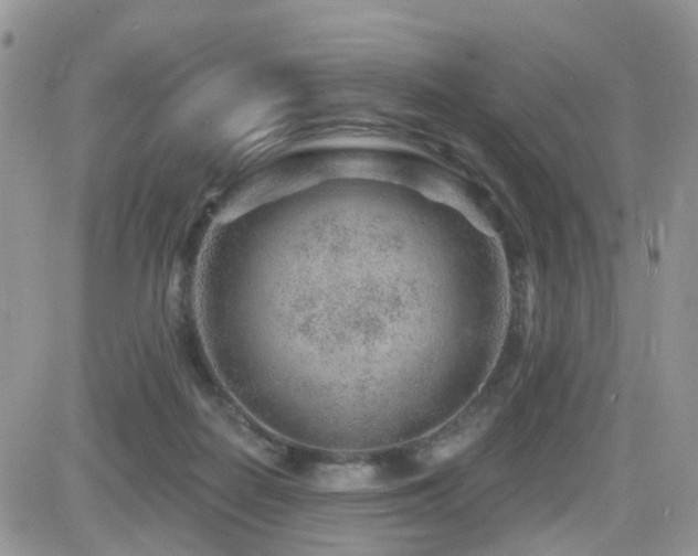 X0000082760266200701261455