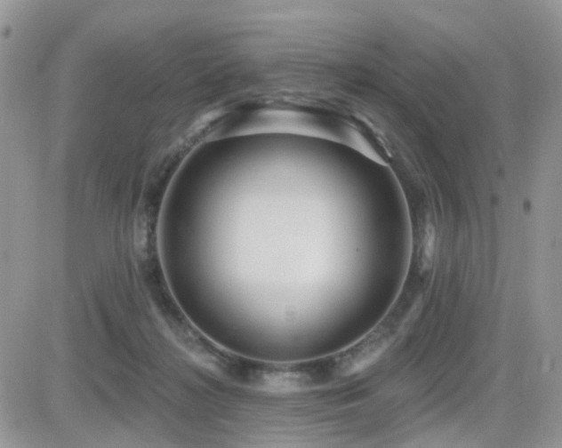 X0000082760268200701261455