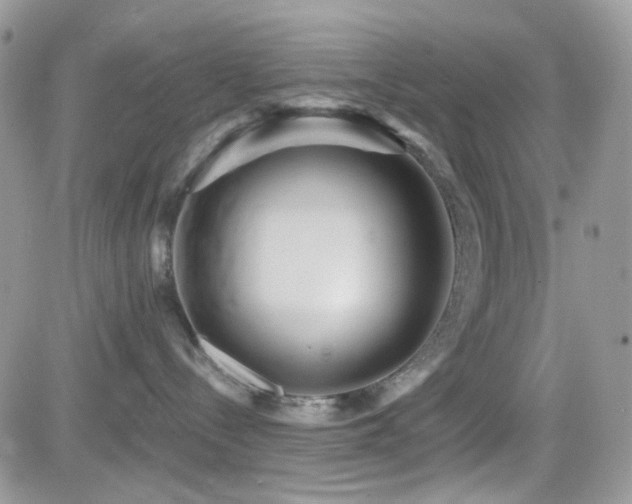 X0000082760288200701261455