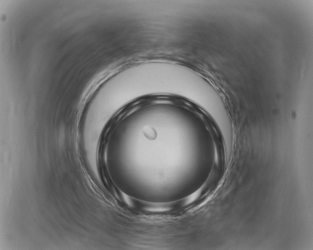 X0000082760293200701261454