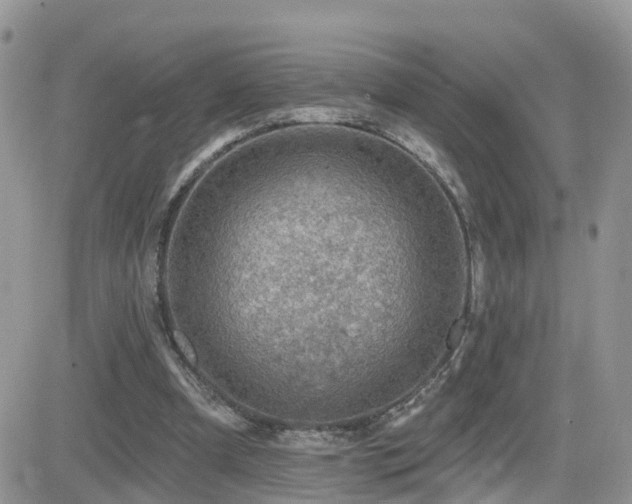 X0000082760297200701261454