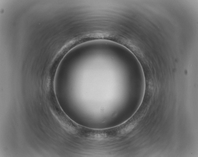 X0000082760304200701261454