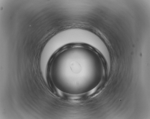 X0000082760313200701261454