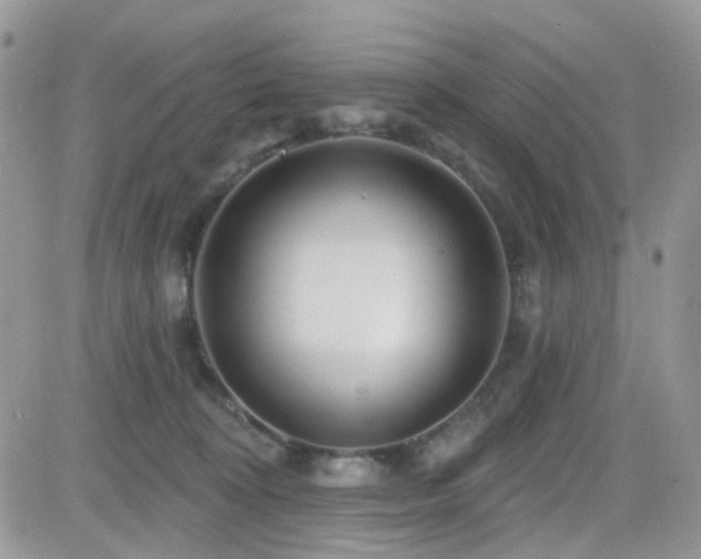 X0000082760324200701261454