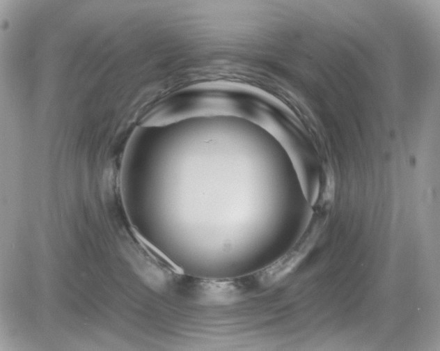 X0000082760333200701261453