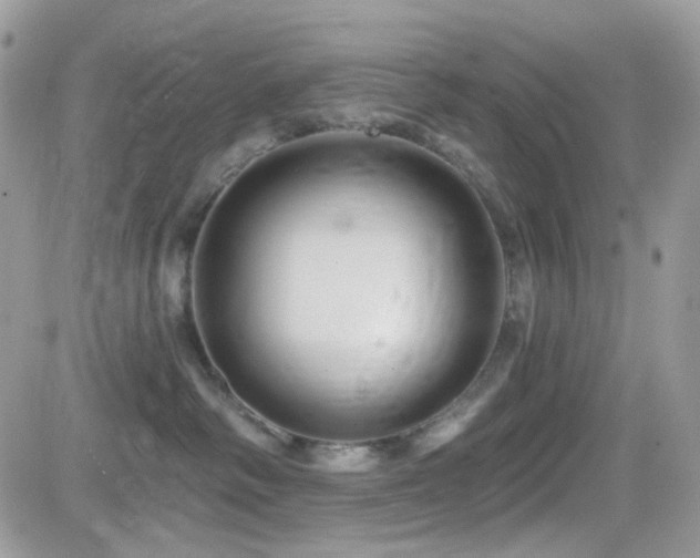X0000082760334200701261453