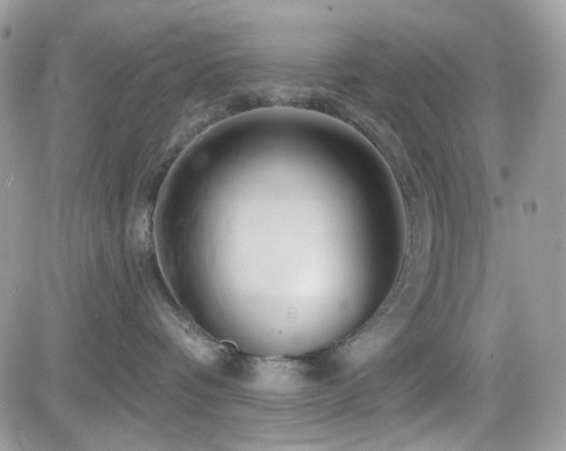 X0000082760336200701261453