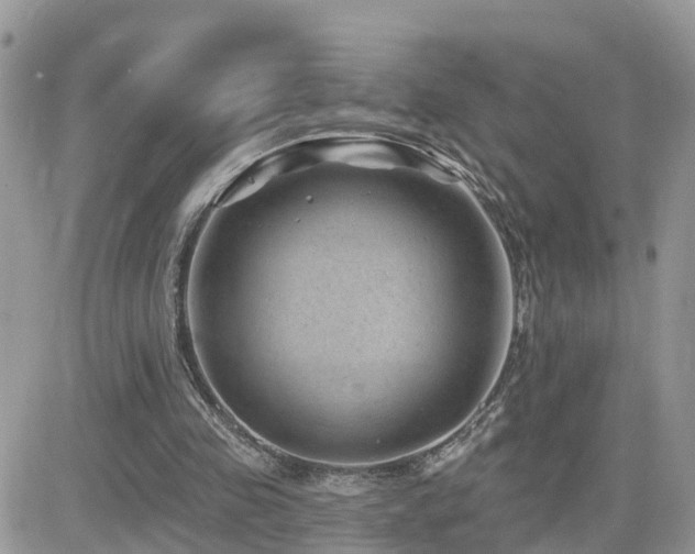 X0000082760341200701261453