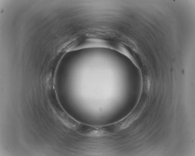 X0000082760364200701261453