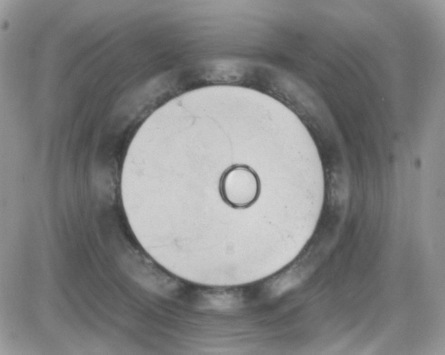 X0000082760370200701261453