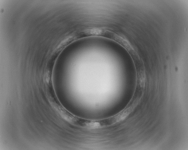 X0000082760374200701261453