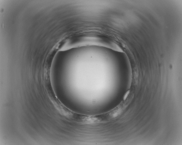 X0000082760379200701261453