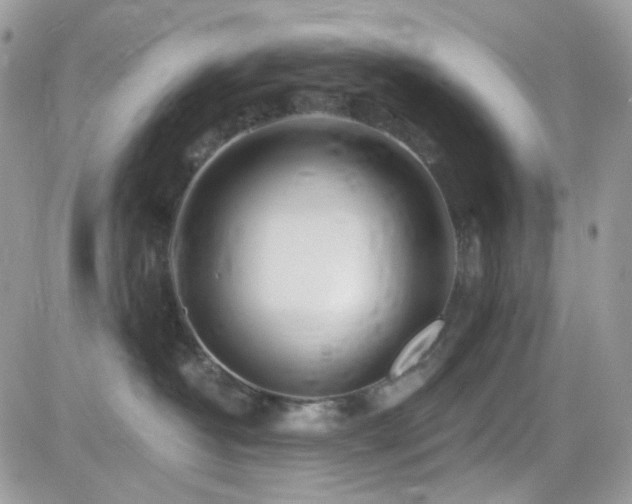 X0000082760382200701261453