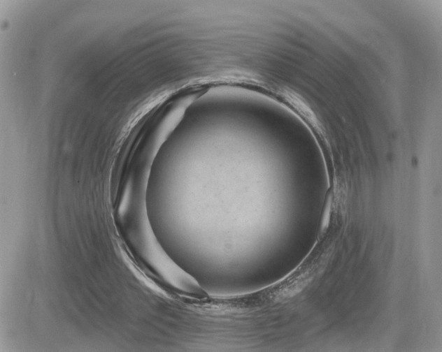 X0000082760389200701261452