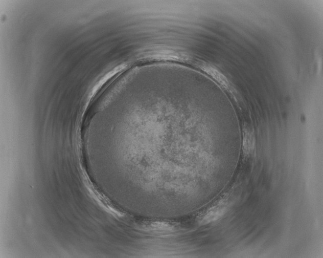 X0000082760390200701261452