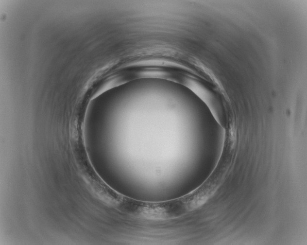 X0000082760403200701261452