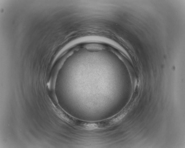 X0000082760409200701261452