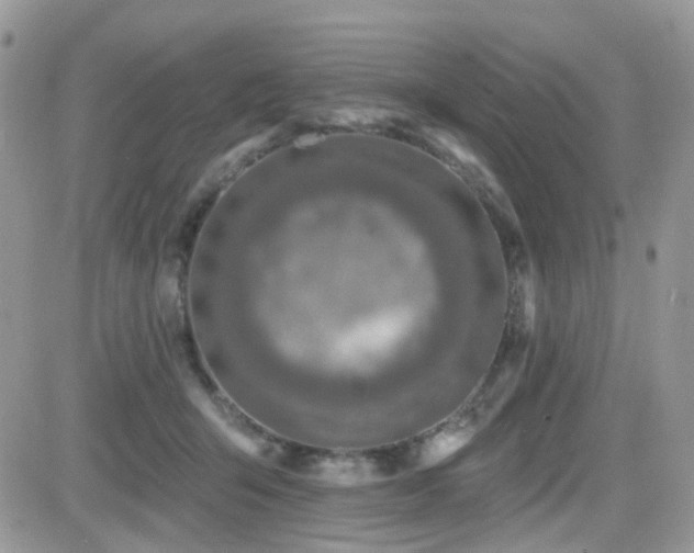 X0000082760415200701261452