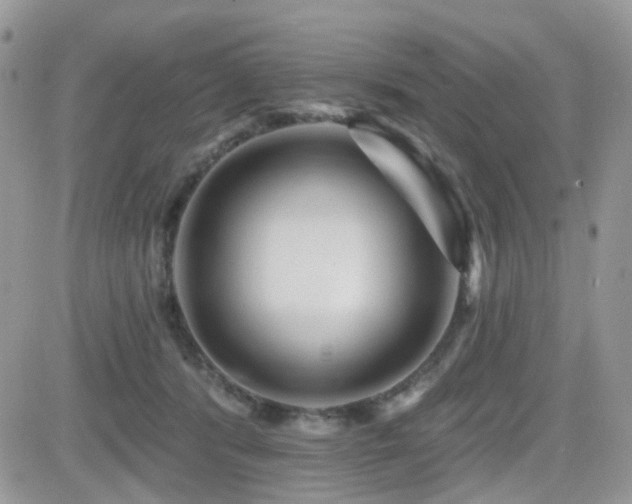 X0000082760416200701261452