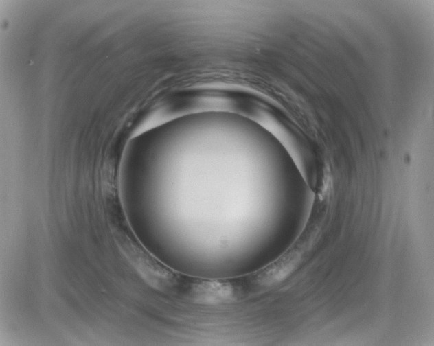 X0000082760421200701261452