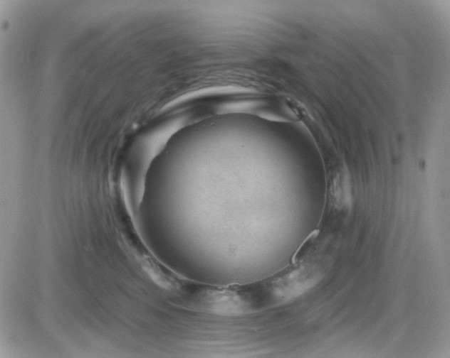 X0000082760424200701261452