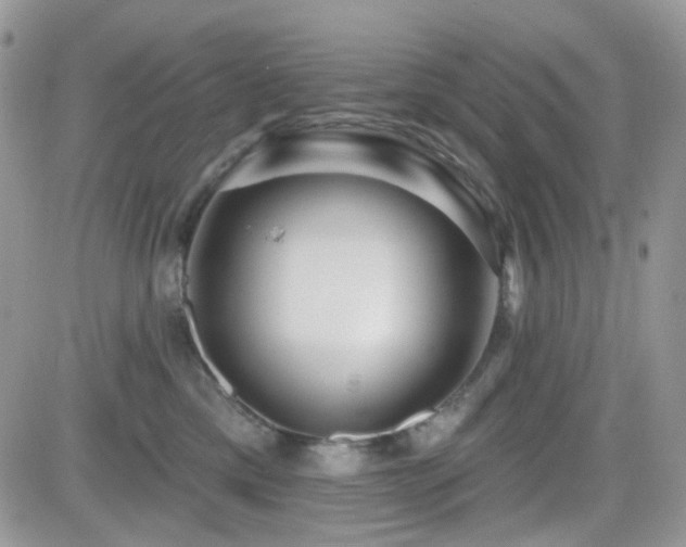 X0000082760425200701261452