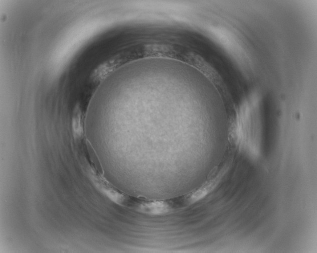 X0000082760431200701261452