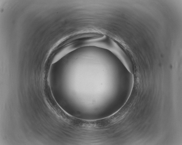 X0000082760440200701261451