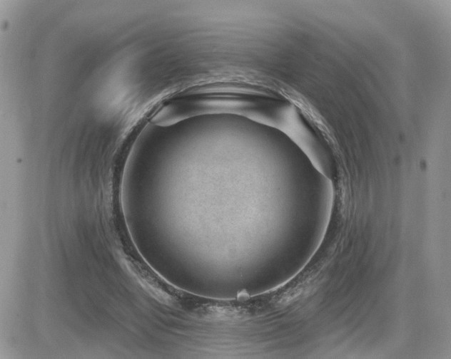 X0000082760442200701261451