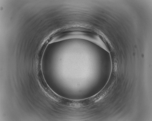 X0000082760444200701261451