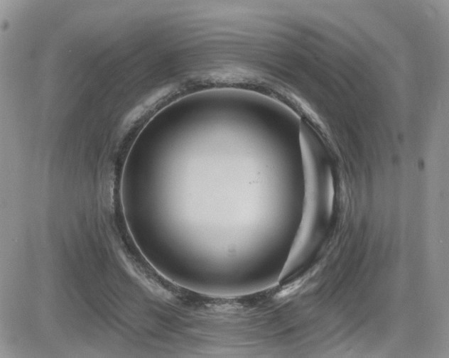 X0000082760446200701261451