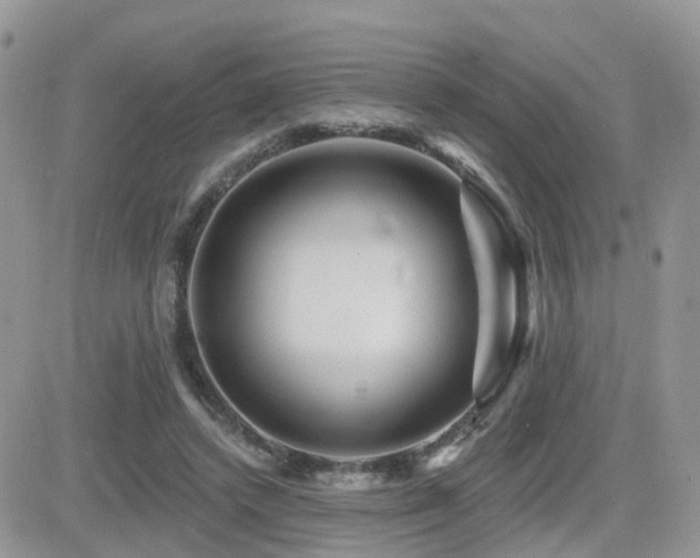 X0000082760448200701261451