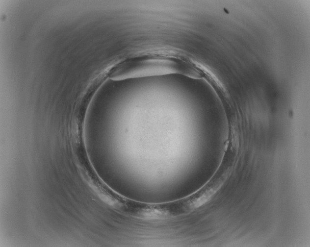 X0000082760453200701261451