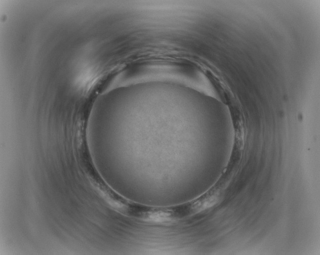 X0000082760462200701261451