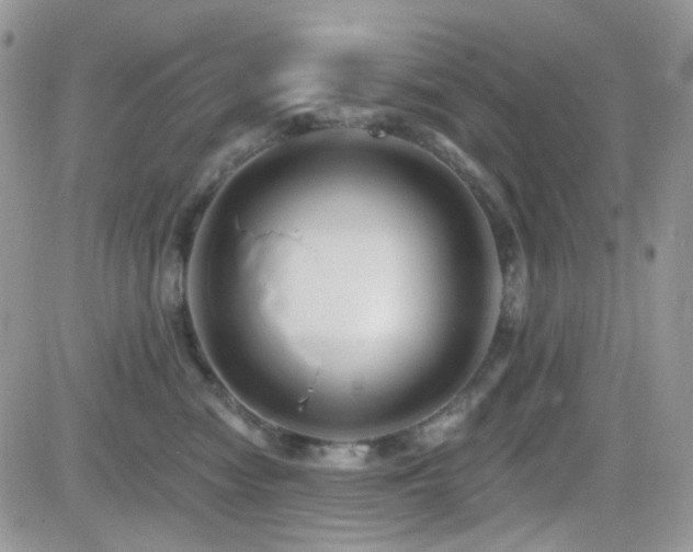 X0000082760474200701261452